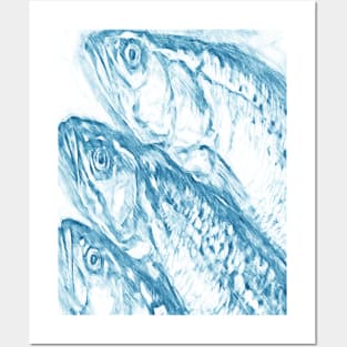 Fishes Posters and Art